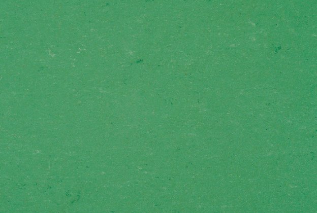 Linoleum  Gerflor Colorette 0006 Vivid Green roheline_1