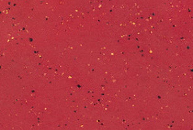 Linoleum 0015 Skinnende rød_1