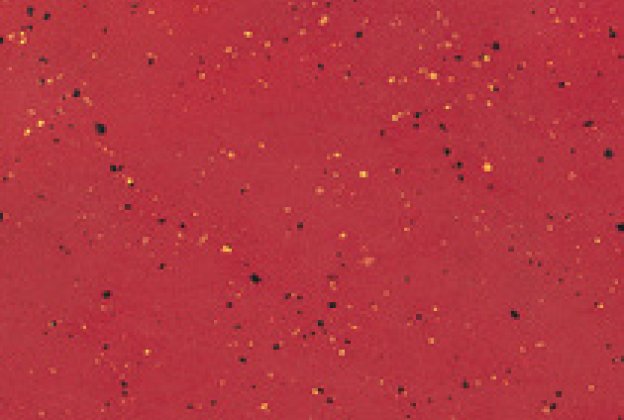 Linoleum 0015 Glaring Red_1