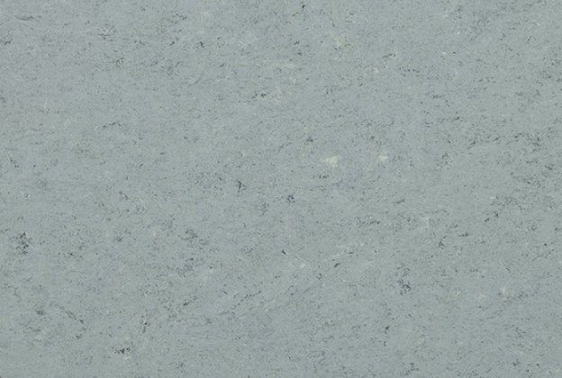 Linoleum 0055 Ash Grey_1