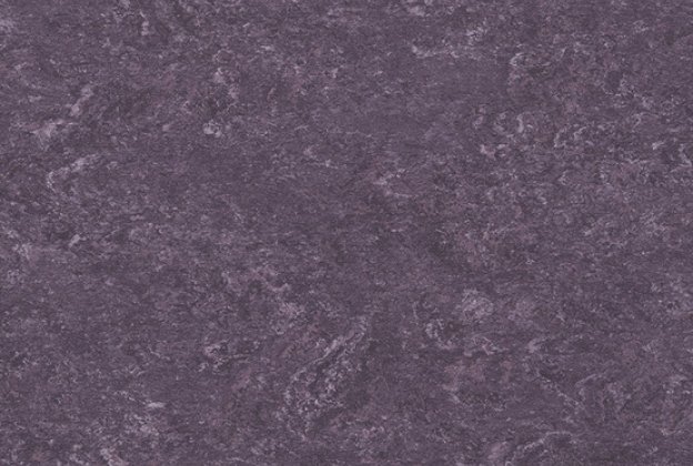 Linoleum 0128 Violet_1