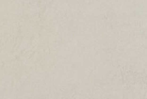 Linoleum 0252 Light Grey_1