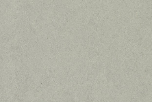 Linoleum Gerflor Acoustic Plus Lino Art Urban 0552 Silver Grey hall_1