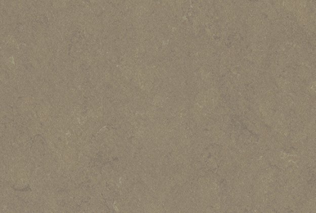 Linoleum Gerflor Lino Art 0558 Screed Grey hall_1