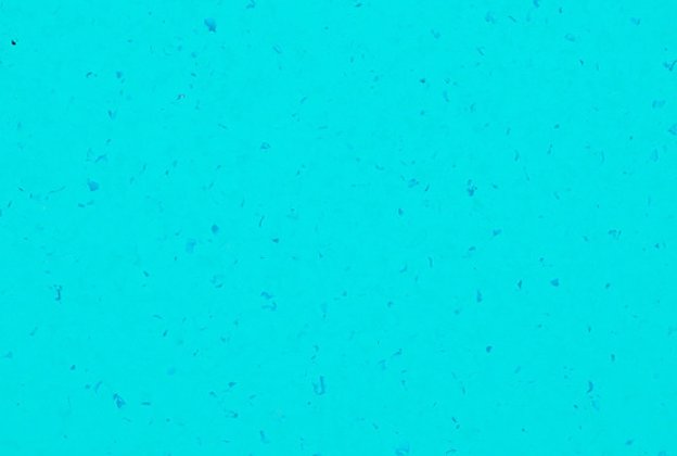 PVC Commercial Space 5437 Reef Water - Cloned_1