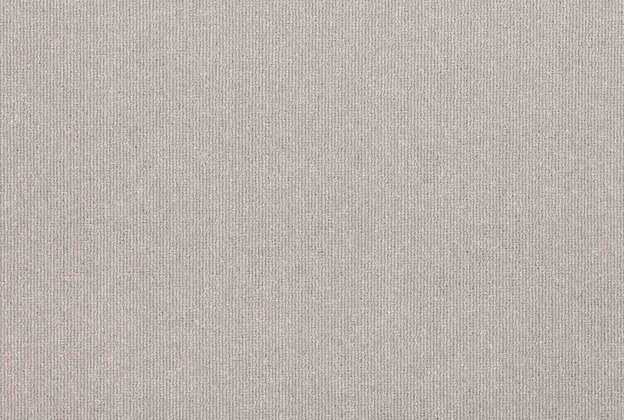 Plaatvaip Paragon CODEC Binary Accent 9183 hall_1