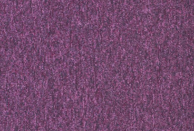 Plaatvaip Paragon DIVERSITY PURPLE RAIN 750 lilla_1