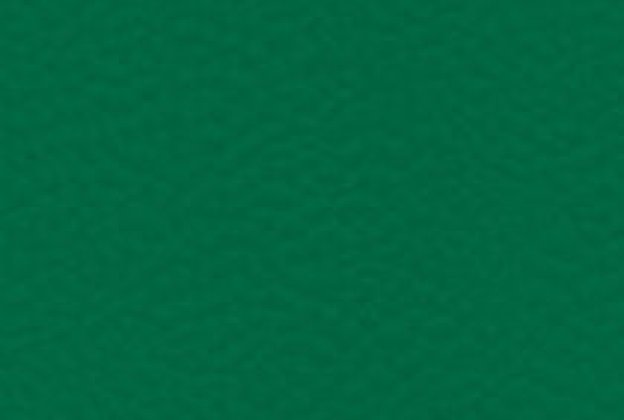 Sportpõrand Gerflor Taraflex Surface 6557 Forest roheline _1