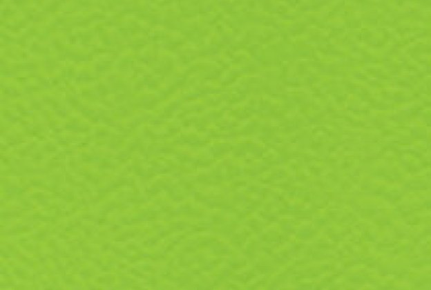 Sportpõrand Gerflor Taraflex Performance 6559 Spring roheline _1