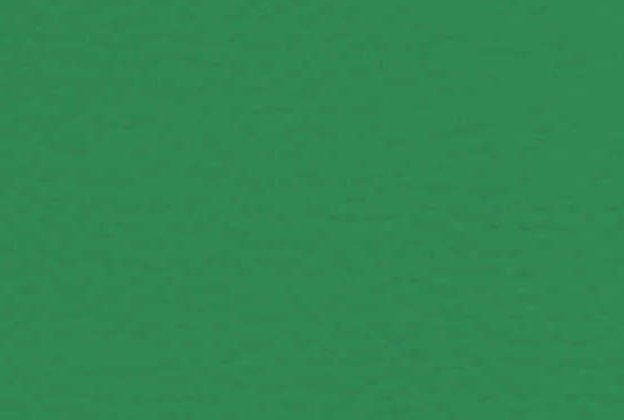 Sportpõrand Gerflor Taraflex Badminton 6570 Mint Green roheline (teisaldatav)_1