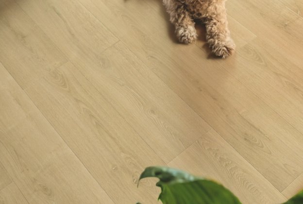 Laminaatparkett Capture 9mm, Brushed oak natural SIG4763 pruun_4