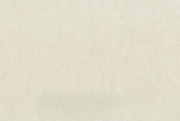 Vinüülseinakate Muraspec Brayer-P8613 beeź_1