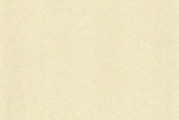 Vinüülseinakate Muraspec Swirled fibres-P4075 beeź_1
