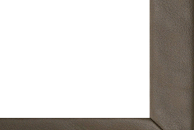 Vaiba ääristus Leather 519 - omber pruun_1