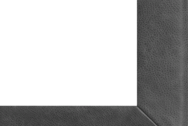 Vaiba ääristus Leather 790 - grijs hall_1