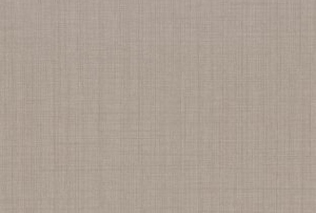 Vinüülseinakate Muraspec Jacana-12550 beeź/pruun_1