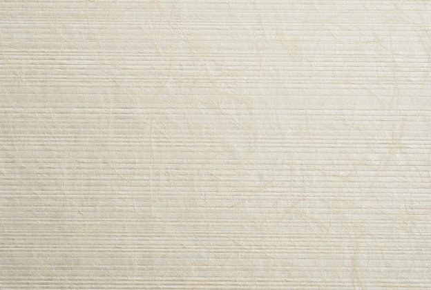 Tekstiiltapeet Vescom Woodpulp Terral 2617.42 beeź_1