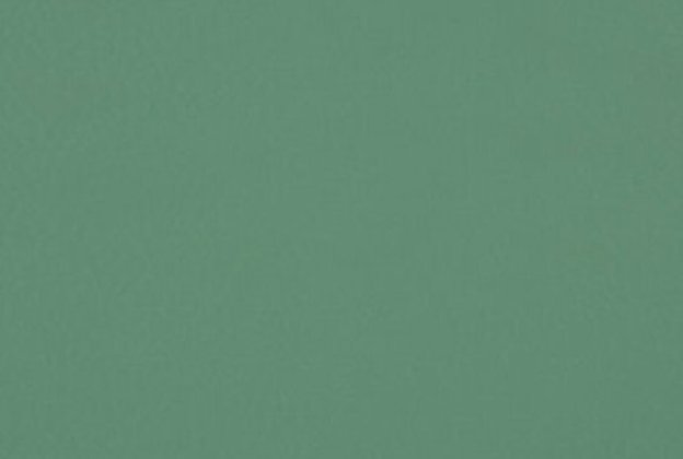 Sportpõrand Gerflor Taraflex Comfort 6553 Fern roheline_1