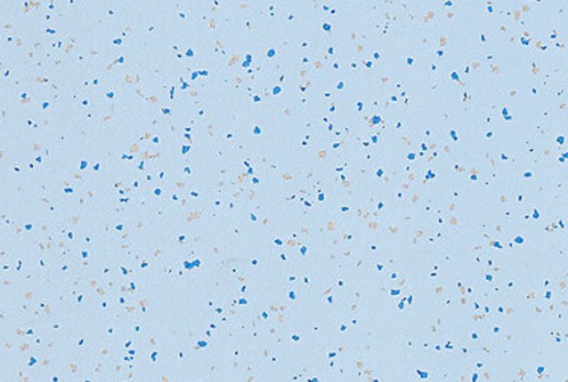 PVC commercial space 4496 Light Sapphire_1