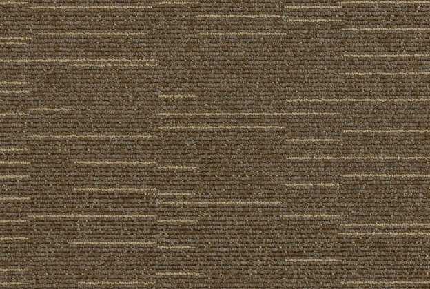 Plaatvaip Paragon Cloudburst, Starfield Shower, 102194 pruun_1