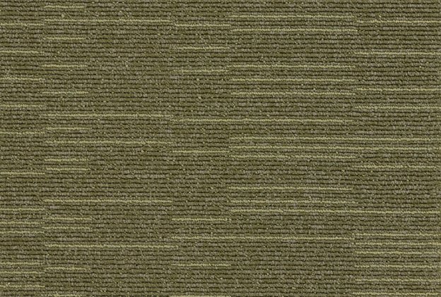 Plaatvaip Paragon Cloudburst, Torrent Green, 501244 roheline_1