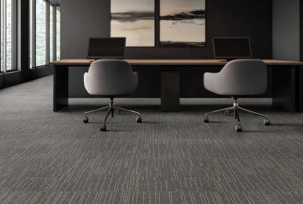 Plaatvaip Paragon Elemental Cloudburst, Stratus Mist, 805124 hall/ beeź_4