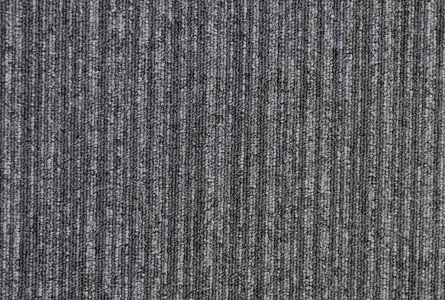 Plaatvaip Paragon Vital Mercury, 878316 hall_1