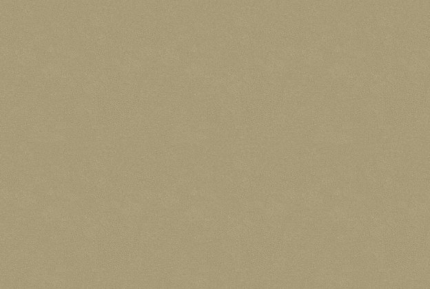 Vinüülseinakate Vescom Colour Choice 1056.129 pruun_1