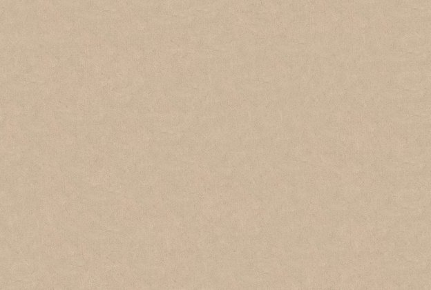 Vinüülseinakate Vescom Pleso 1026.13 beeź   _1