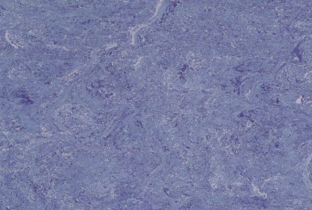 Linoleum Gerflor DLW Marmorette 3.2MM 0049 ROYAL BLUE sinine  _1