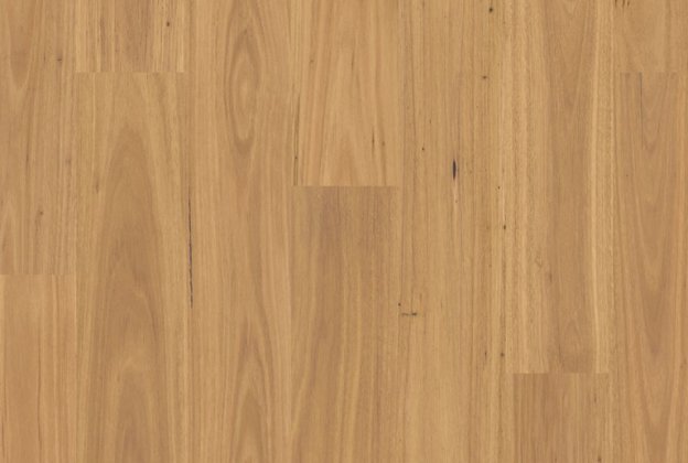 Laminaatparkett Eligna 8mm, Pure blackbutt EL6626 pruun_1