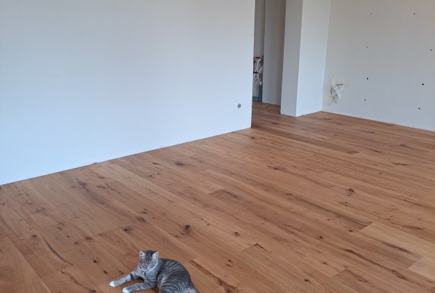 PARKETT 1-lipiline laudparkett Tamm Teberius, harjatud, õlitatud natural_4