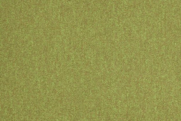 Plaatvaip Paragon Workspace Loop APPLE 6229 roheline_1
