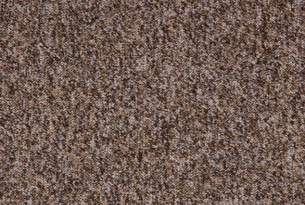 Plaatvaip Paragon Toccarre MONTAGNA 1549 pruun_1