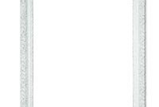 Peegliraam 95001 _1
