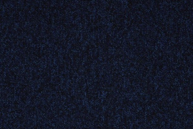 Plaatvaip Paragon Toccarre TUTTO 6569 sinine_1