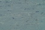 Linoleum 0020 Spring Blue_1