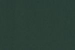 Linoleum Gerflor Uni Walton 0035 Racing Green roheline_1