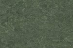 Linoleum 0083 Djungel_1