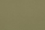 Linoleum 0090 Olive_1