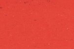 Linoleum 0118 Power Red_1