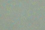 Linoleum Gerflor Lino Art 0567 Shining Green roheline_1