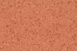 PVC kommersiella utrymme 4435 Butternut_1