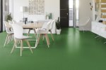 PVC äriruumi Gerflor Mipolam Affinity 4467 Clover roheline_2