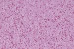 PVC forretningslokaler 4482 Orchid_1