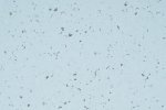 PVC forretningslokaler 5406 Moqui - Cloned_1