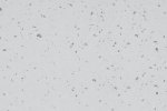 PVC Commercial Space 5409 Pebble Beach - Cloned_1