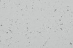 PVC kommersiell plass 5411 Atlantic Grey - Cloned_1
