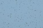 PVC forretningslokaler 5416 Acquamarina - Cloned_1