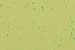 PVC commercial space 5427 Green Zest - Cloned_1